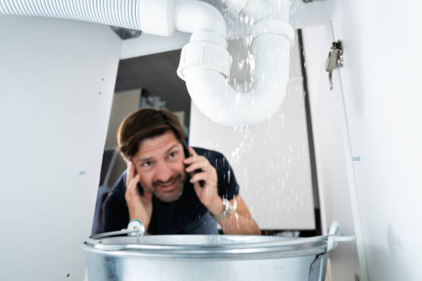 Best Leak Detection Services  in Lyons, KS